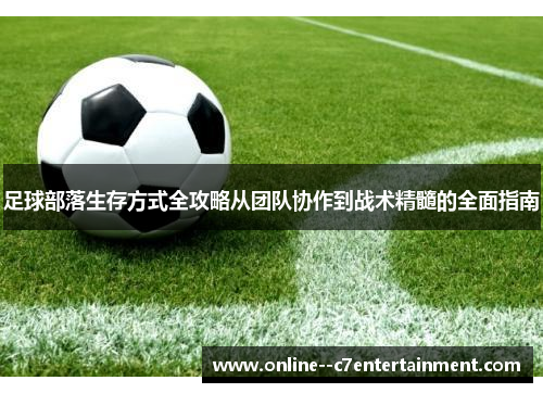 足球部落生存方式全攻略从团队协作到战术精髓的全面指南