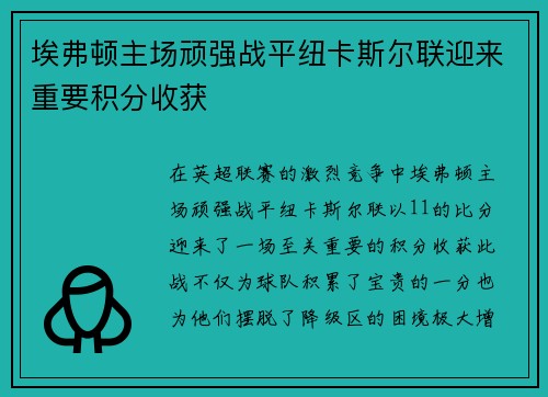 埃弗顿主场顽强战平纽卡斯尔联迎来重要积分收获